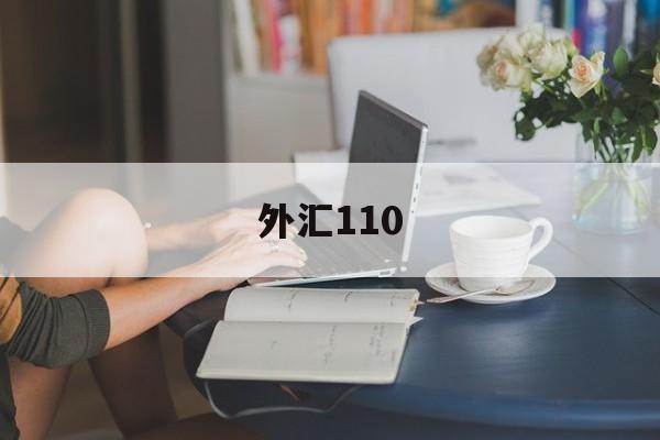 外汇110(外汇110app)