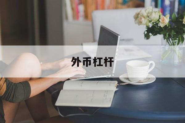 外币杠杆(外汇杠杆盈利是如何计算的)