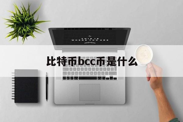 比特币bcc币是什么(比特币bcc币是什么意思啊)