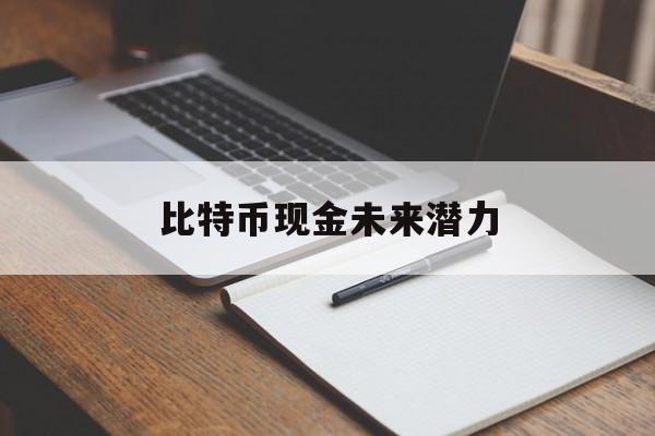 比特币现金未来潜力(比特币现金未来价格预测)